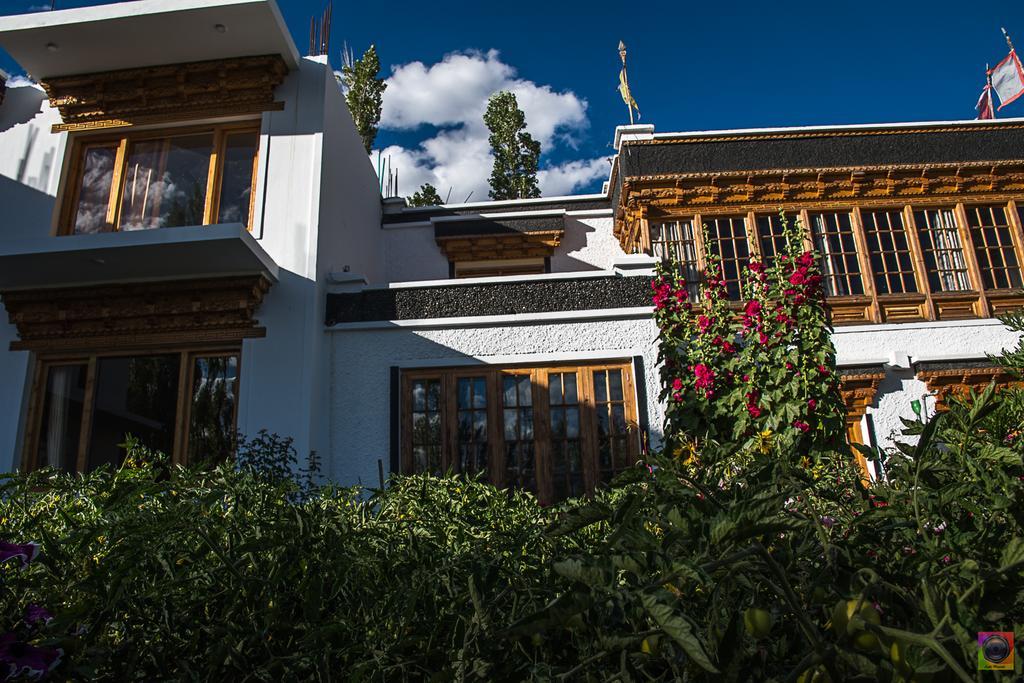Hotel Shaolin Ladakh à Leh Extérieur photo