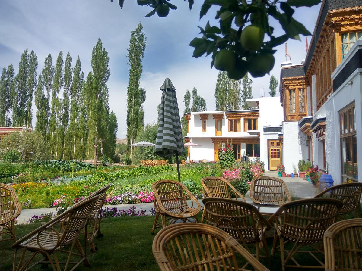 Hotel Shaolin Ladakh à Leh Extérieur photo